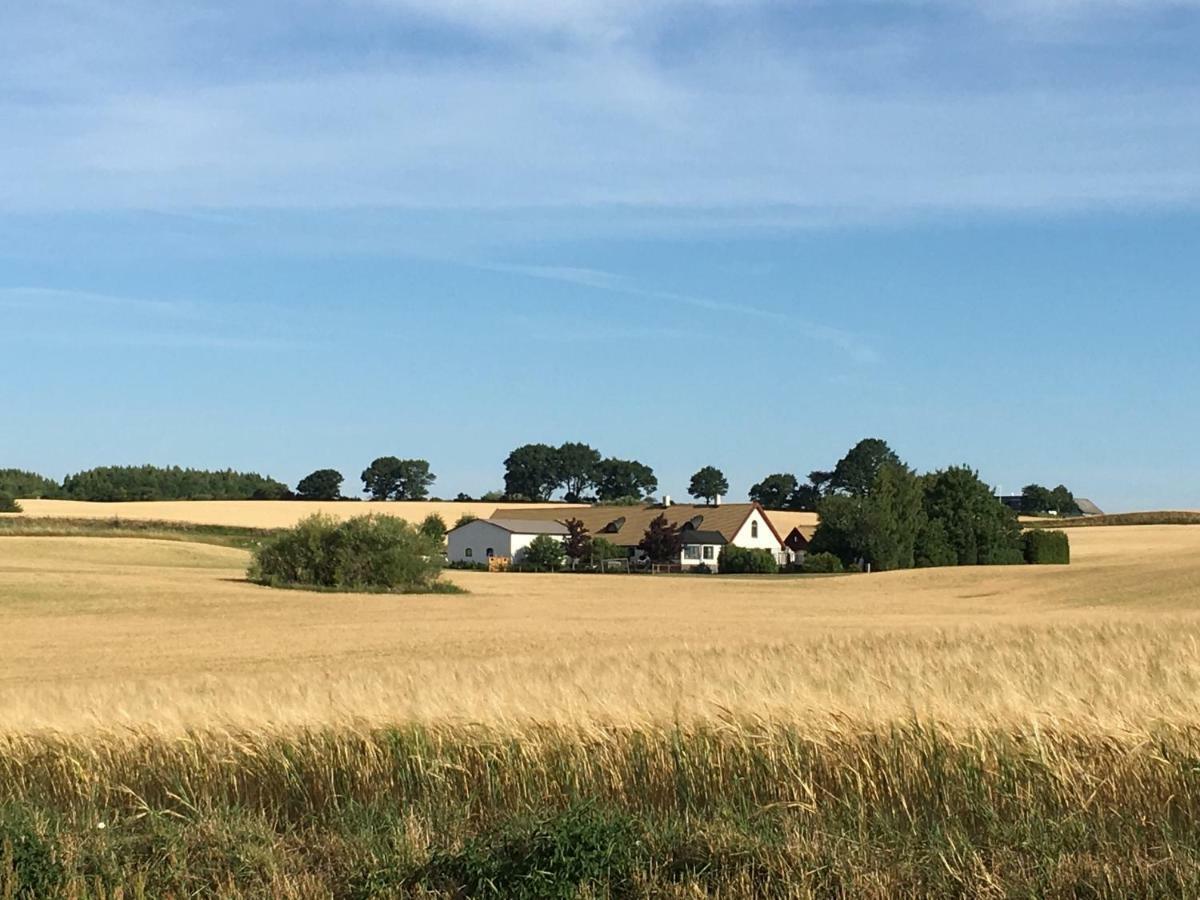 Stallet Pa Skarby Ystad Exterior foto